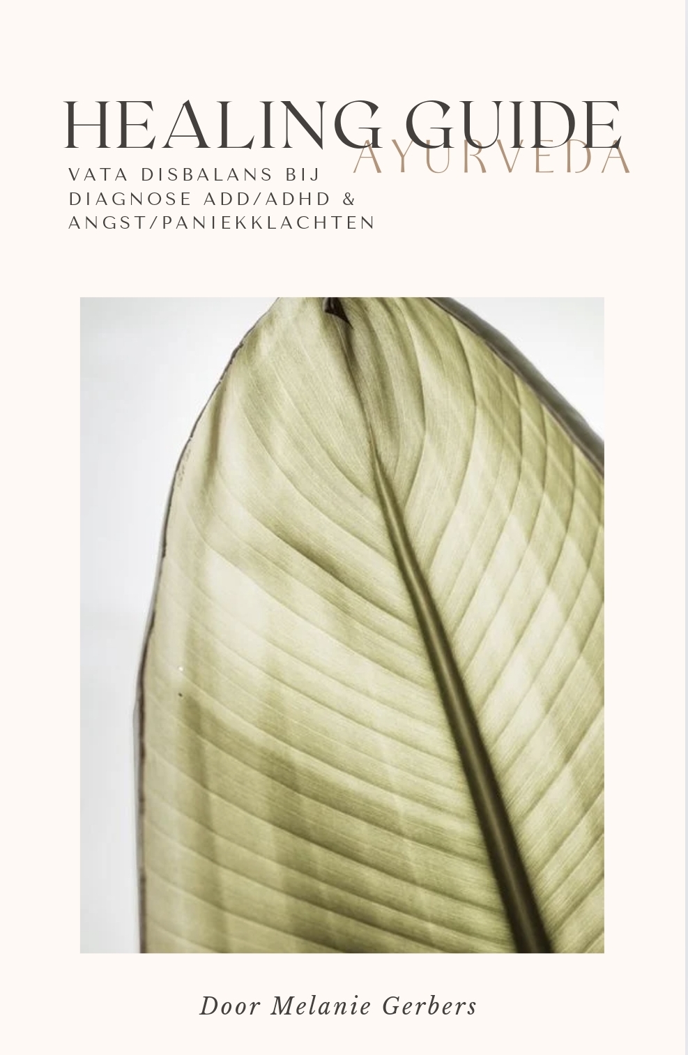 E-Book Healing Guide Vata Disbalans